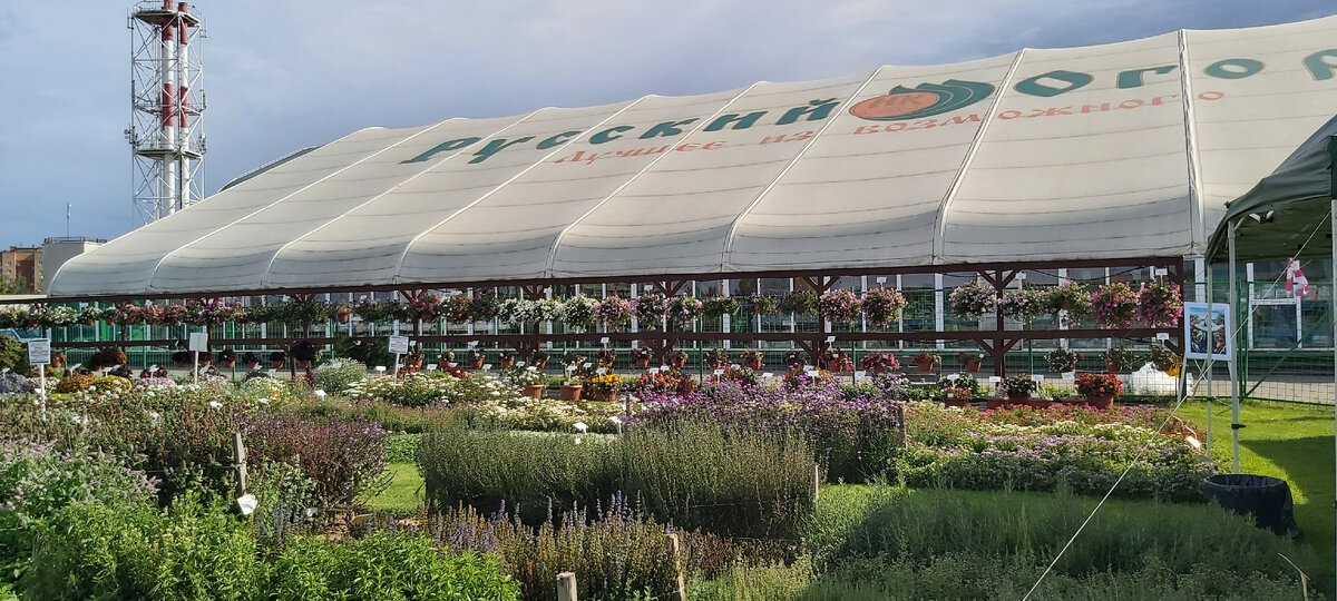 Фото автора. День открытый дверей в Русском огороде 2023