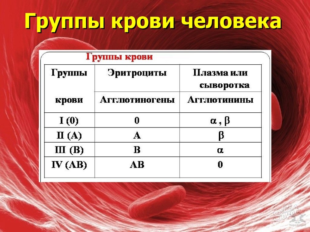 Группа крови женщины расскажет, какая она в постели и кто ей подходит