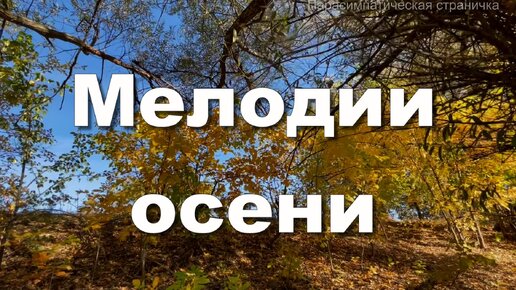 Мелодии осени. Листья желтые