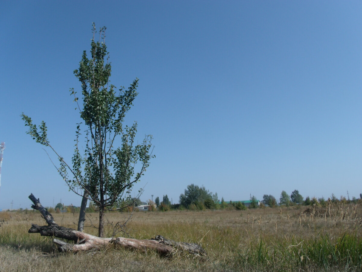 Фото из личного архива