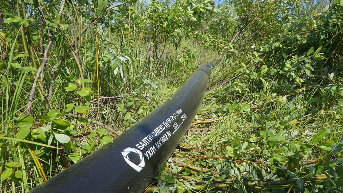 "Источник: сайт https://balticflex.ru/"