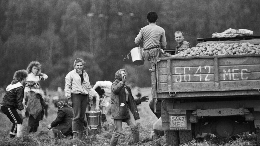 ФОТО : Мамонтов Сергей/Фотохроника ТАСС 