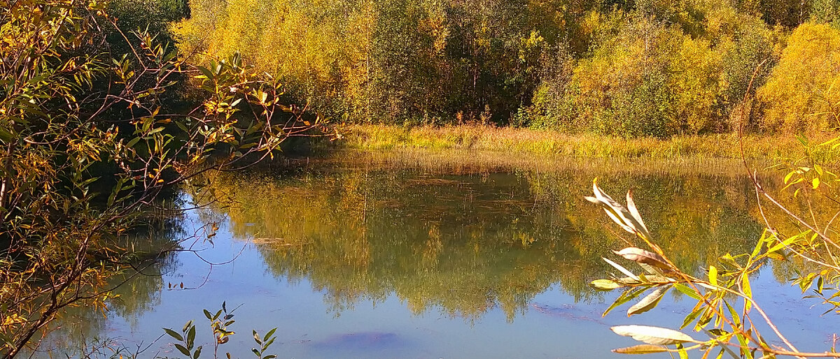 Та самая лужа. 