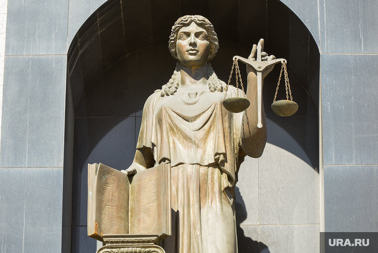    Областной суд снизил Светлане Каменецких срок в колонии на полгода