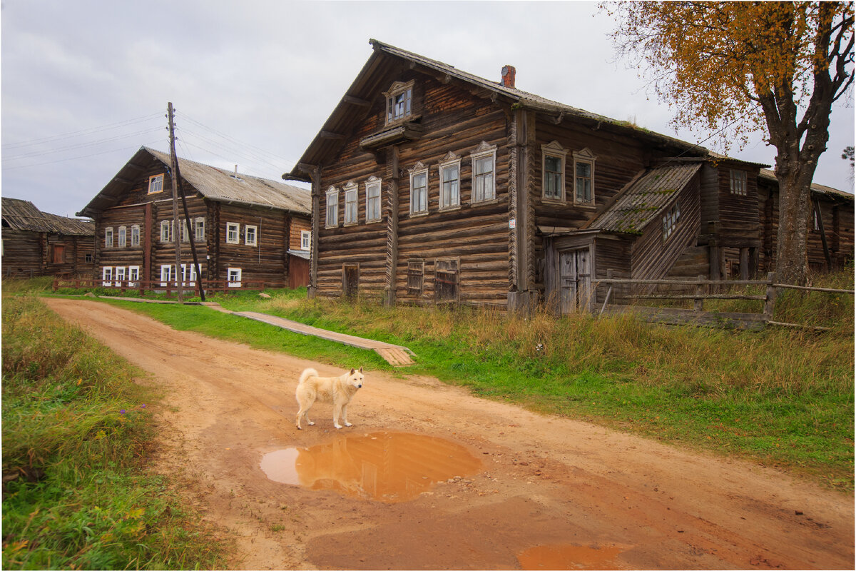 Кимжа. Как живут жители самой красивой деревни России? | eka_zimina | Дзен