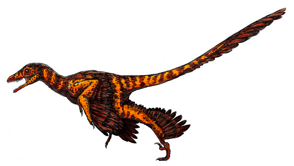 Sinornithosaurus