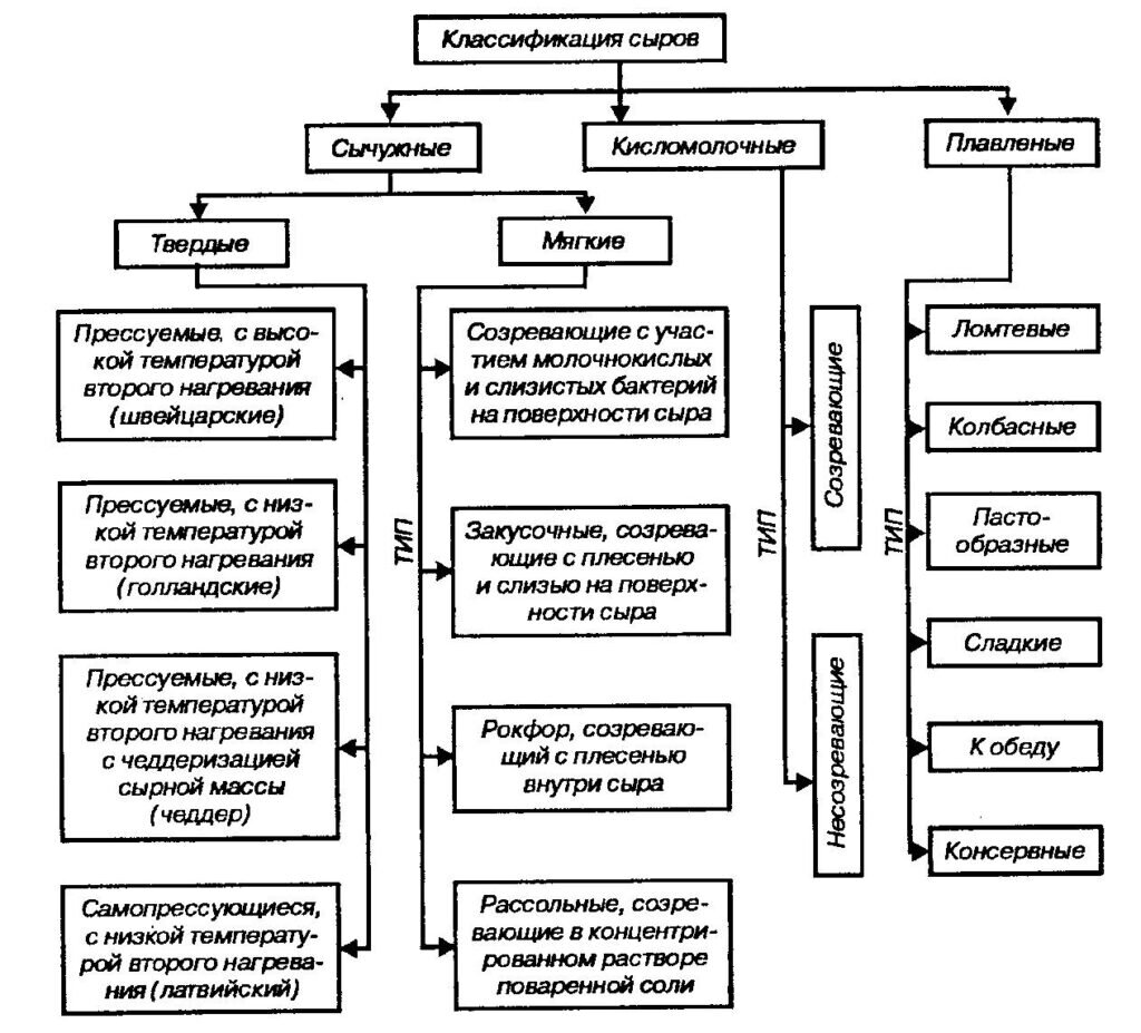 Классификация мягких сыров схема