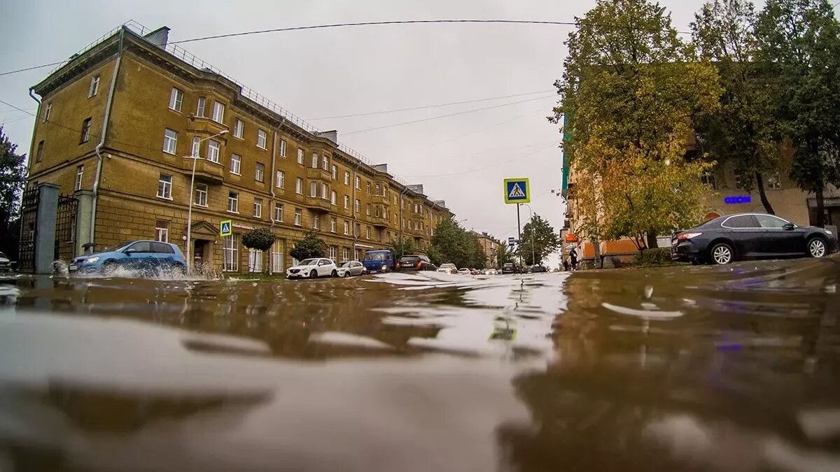     Проблемной улицей решили заняться спустя не один десяток лет, об этом и. о. главы Петрозаводска сообщила в соцсетях.