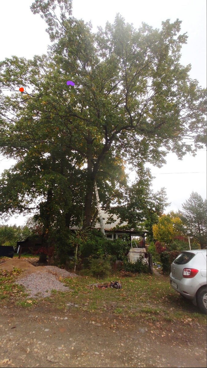 Красная точка- где сидел кот изначально. Сиреневая - куда ушел по боковой ветке ниже