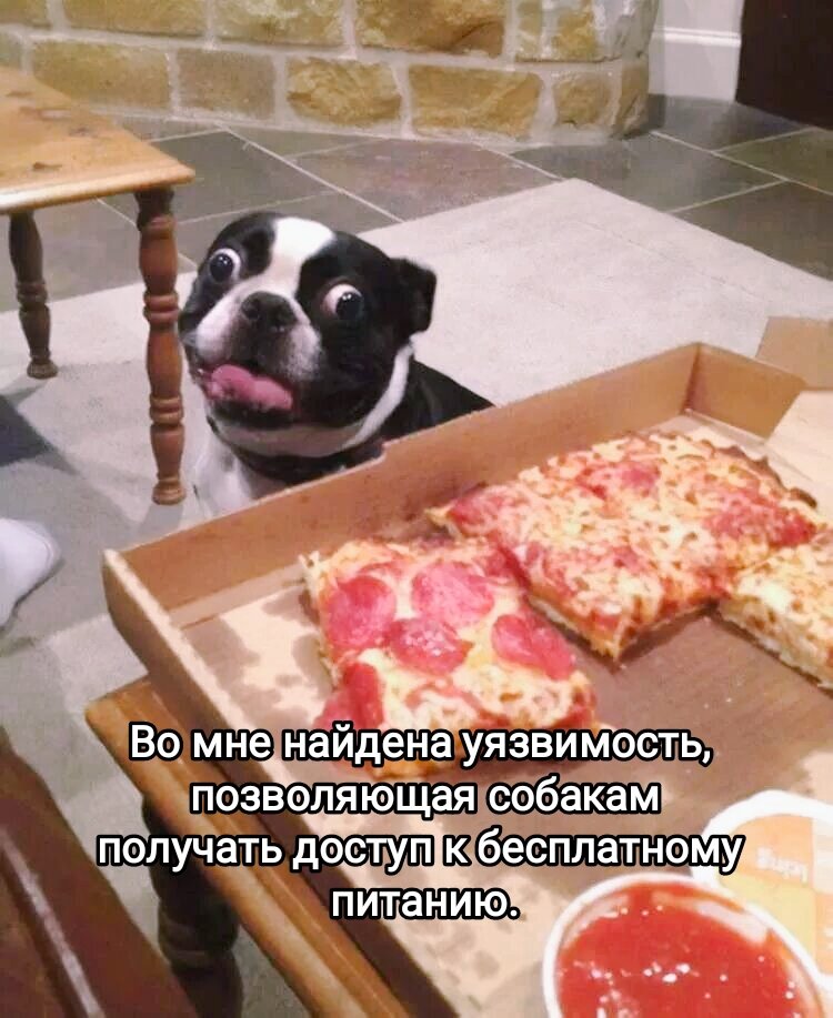 Фото из интернета в обработке автора