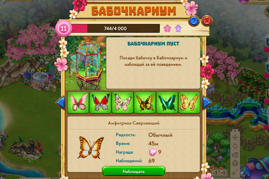 таонга остров фестиваль дракона. таонга тропическая ферма без регистрации. таонга тропическая ферма без регистрации. Taonga тропическая ферма. таонга дивный оазис.