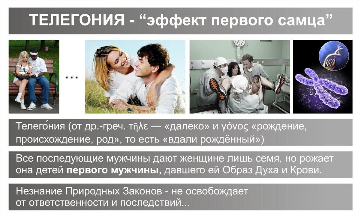 Женщина рожденная мужчиной. Телегония. Телегония доказательства. Эффект телегонии. Телегония доказательства научные