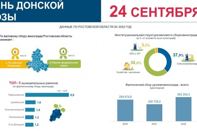    Виноградарство в Ростовской области. Инфографика