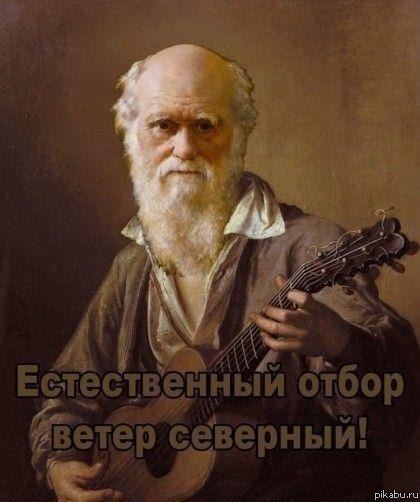Хочется между делом напомнить, что в современном обществе принято максимально защищать людей, а не отдавать всё в руки случайности. 