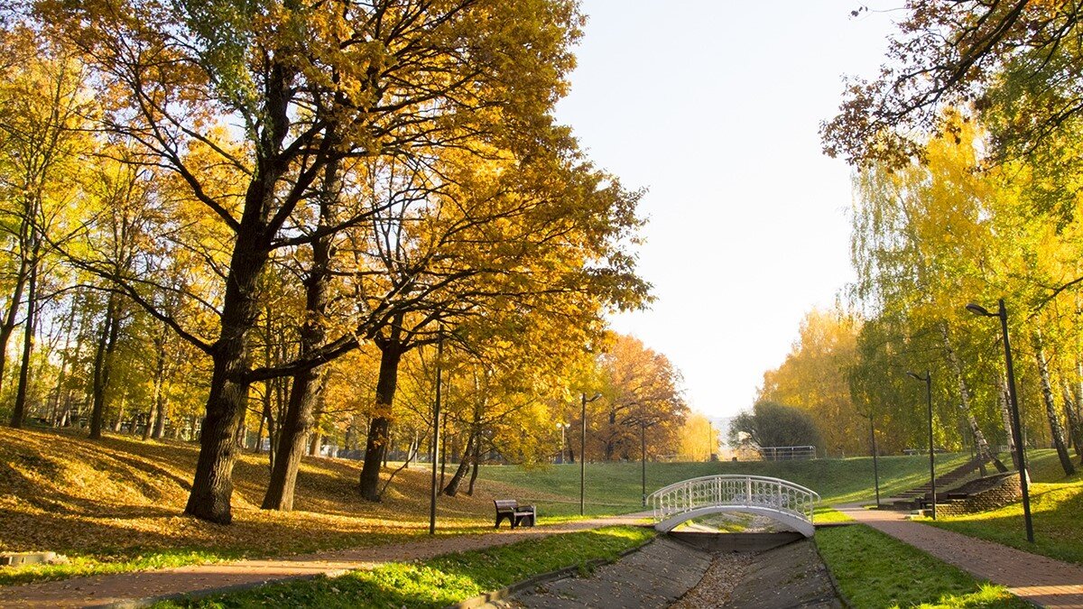 лианозовский парк на