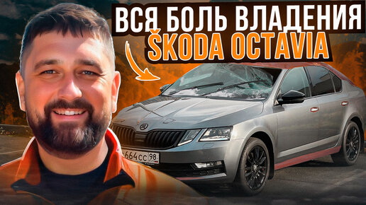 Вся боль владения SKODA OCTAVIA A7: коррозия, сколы, поломки