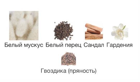 Изображение взято с сайта https://www.fragrantica.ru