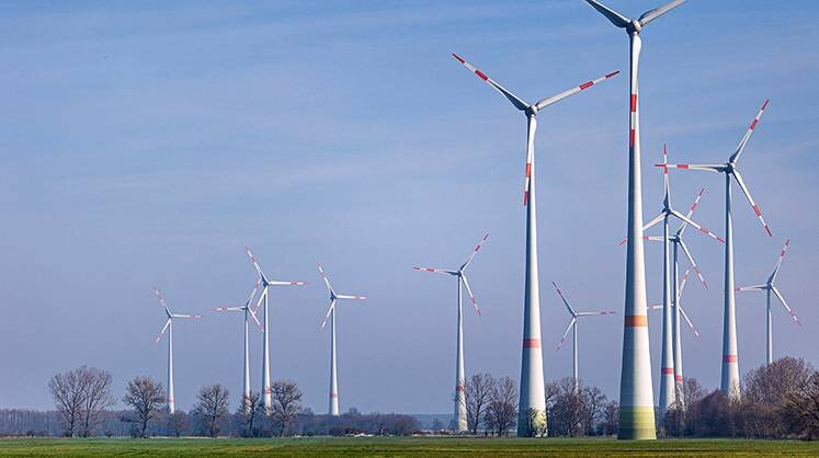    IMAGO/Manngold/ТАСС