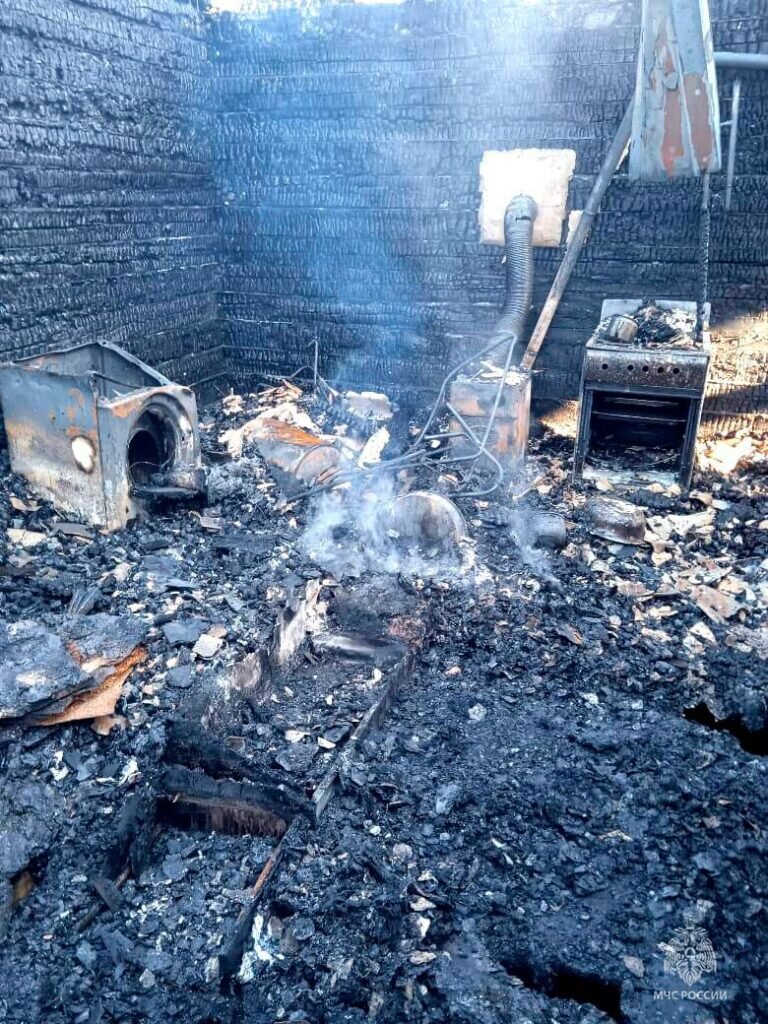    На пожарах в Оренбуржье с начала 2023 года погибли 75 человек, в том числе 6 детей Кристина Просвиркина