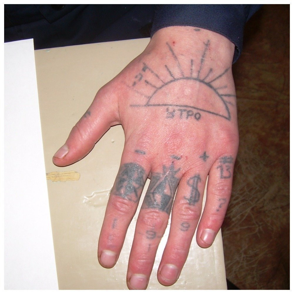 картинка с открытого доступа.