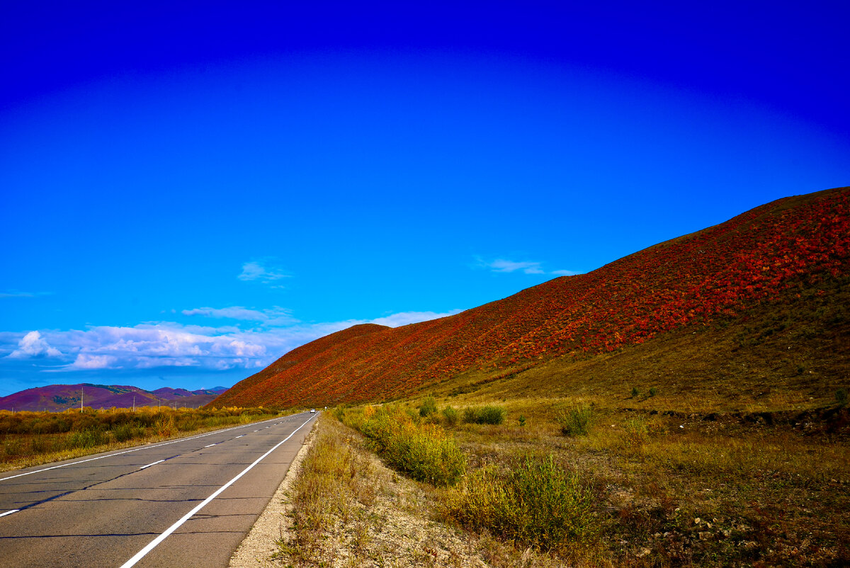 Фото: TheDocTraveller