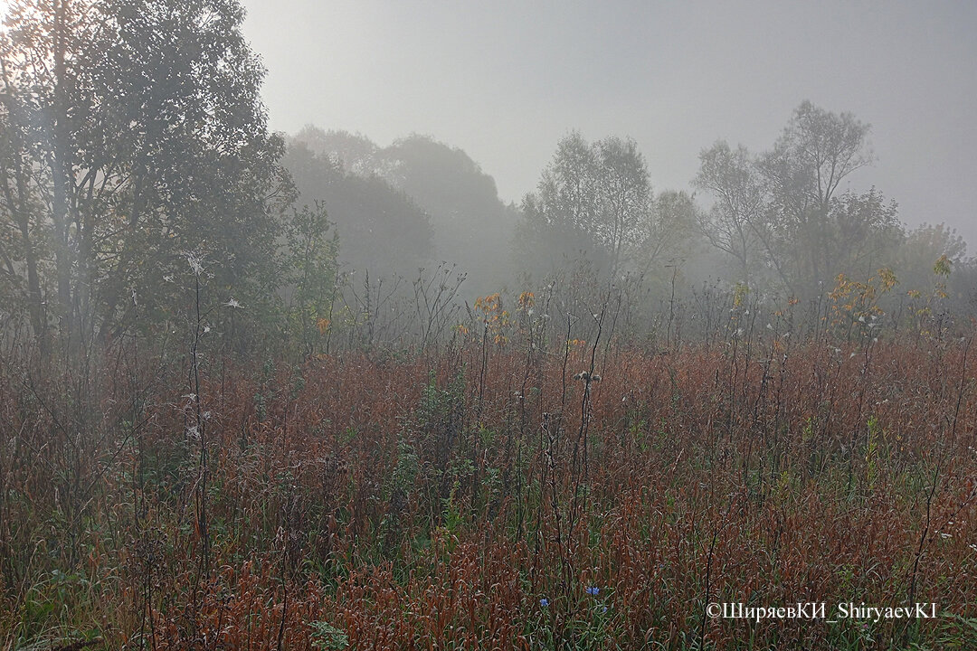 Очередной снимок туманного этюда. Теперь появилась возможность дополнять фоторепортажи снимками из смартфона. Строго не судите – я только учусь им пользоваться.
