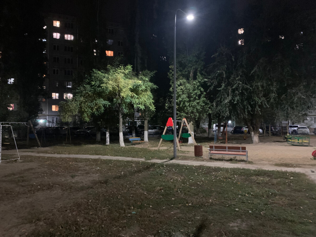 Та самая детская площадка, с лавочками в кустах