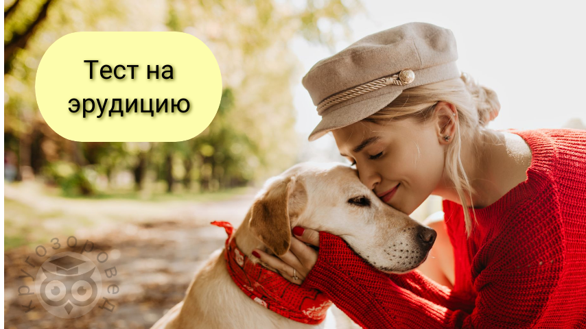 Картинка создана с помощью ресурсов с freepik.com и supa.ru | тесты на эрудицию | кругозор