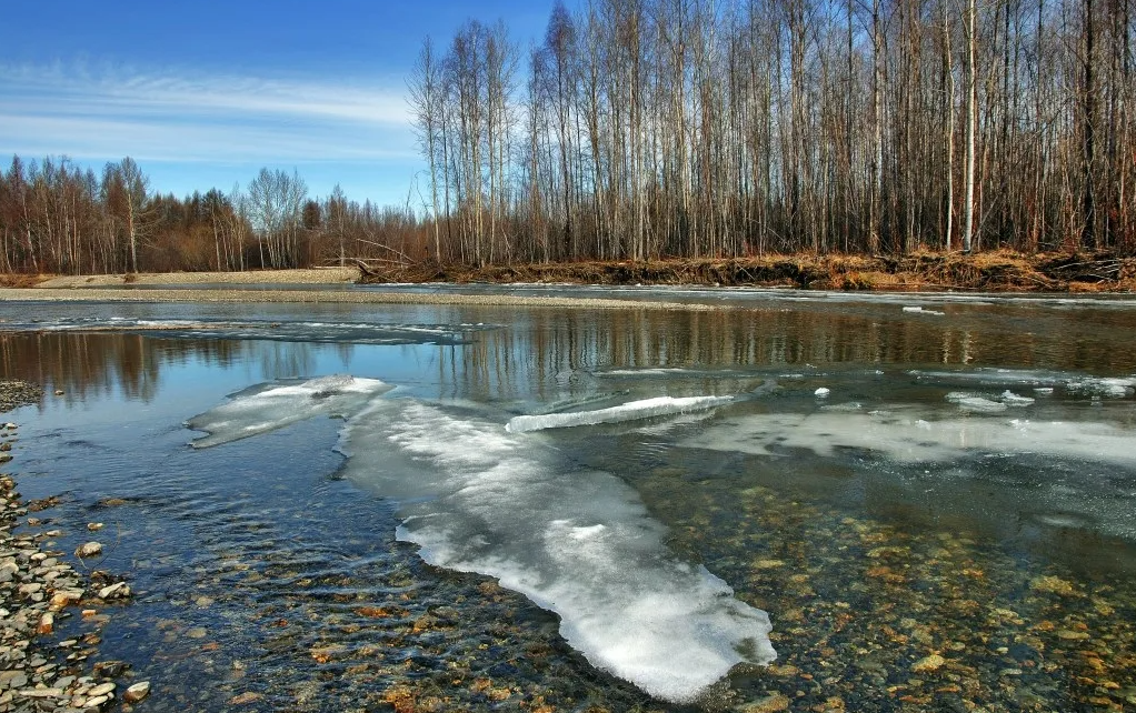 Талая вода весной. «ледоход на енисее» каратанов. Река талая. Весенние ручьи. Тает снег.