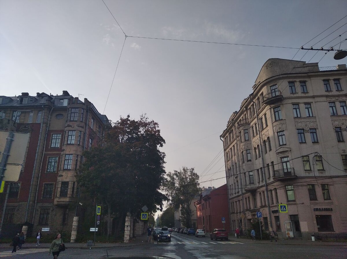 Перекресток Аптекарского проспекта и улицы профессора Попова в 100 метрах от входа