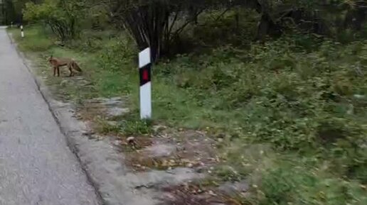 Минутка Мастера | Еду домой и хочу поделиться с Вами видео, как мы ...