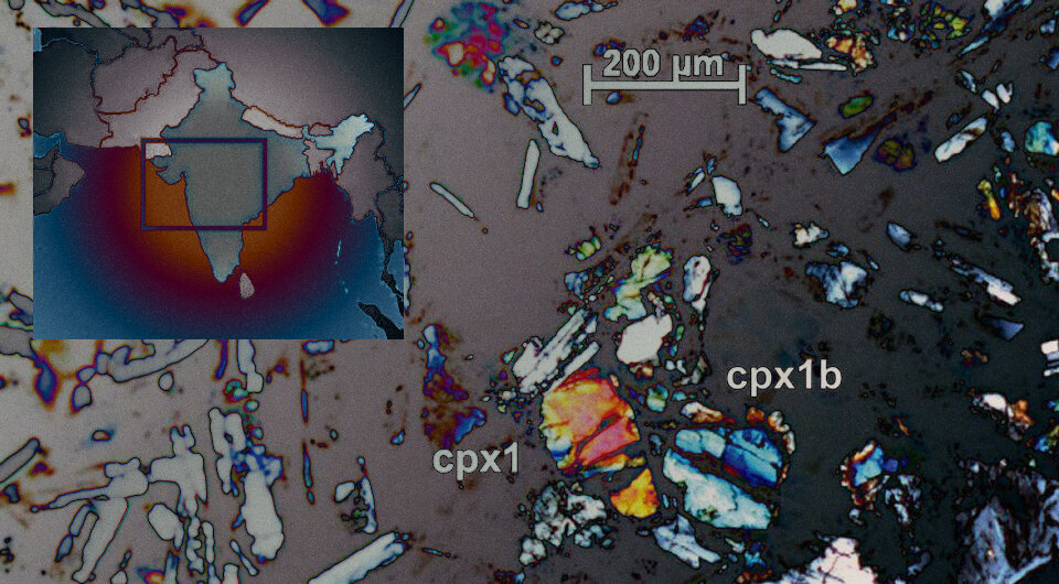   N + 1; Sara Callegaro et al. / Science Advances, 2023