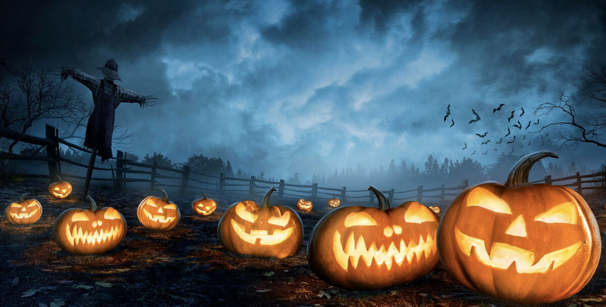    Изображение от Freepik