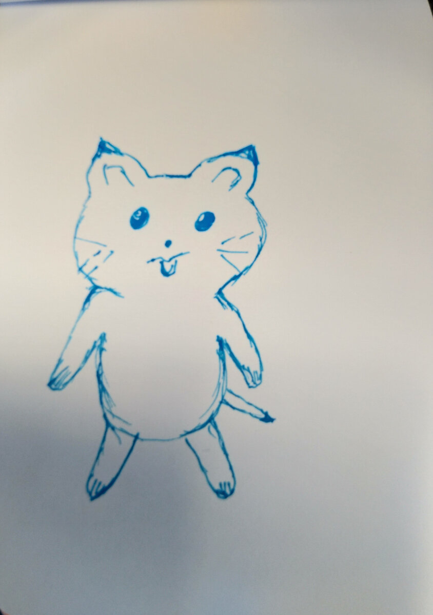 Кот