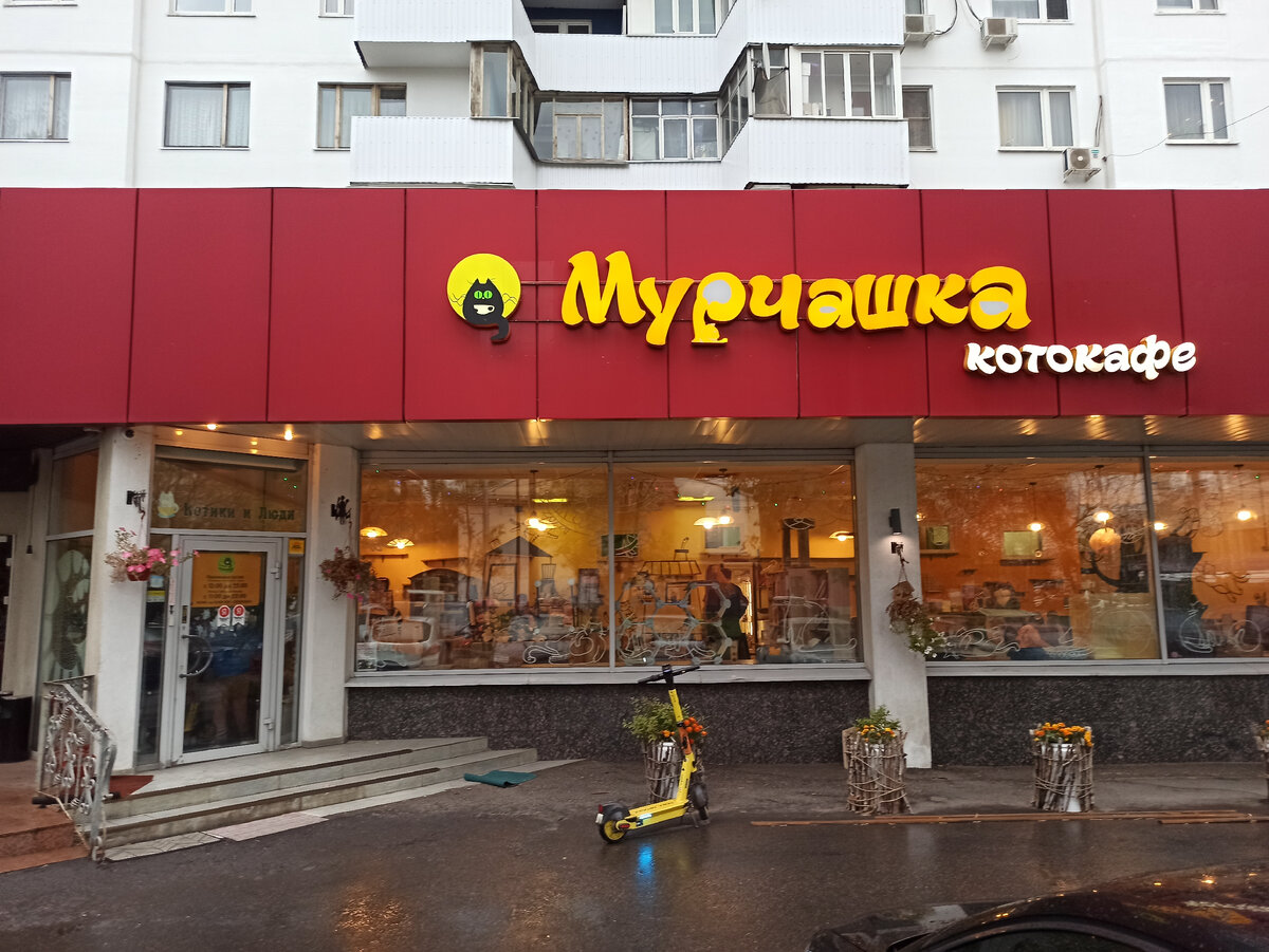 котокафе Мурчашка