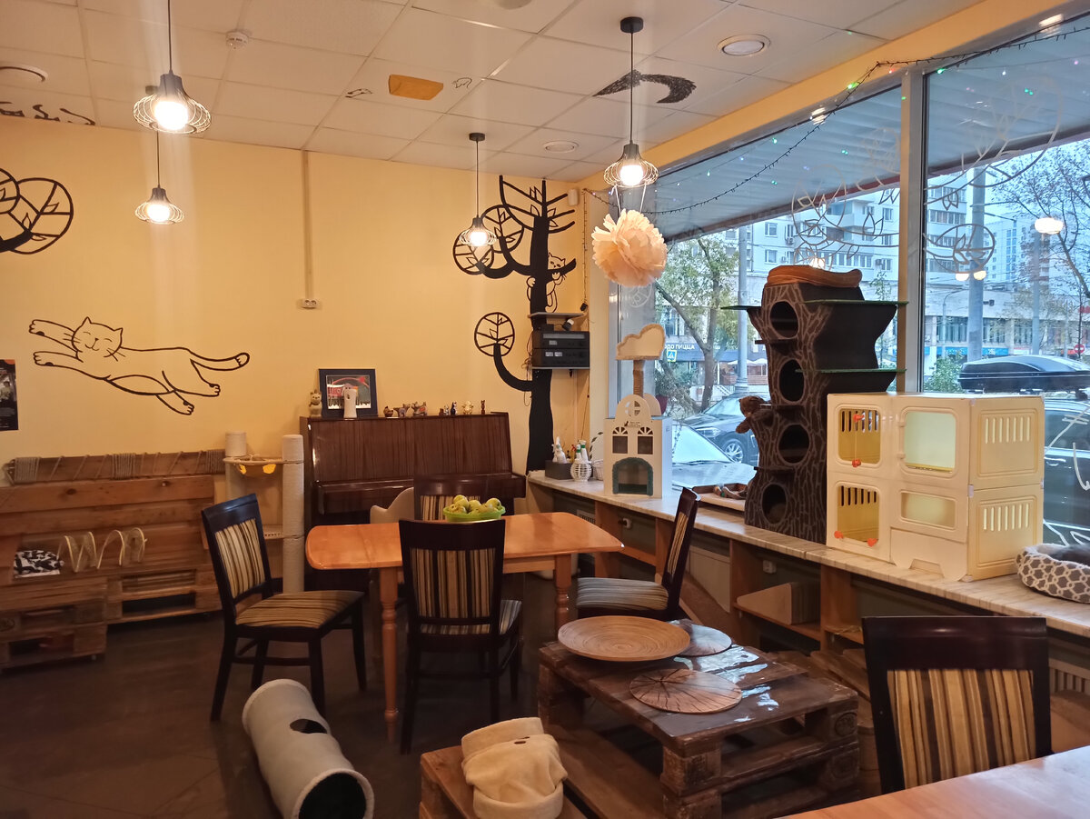 Просили не оставлять н чего на столах т.к. кошки могут поиграть с этим