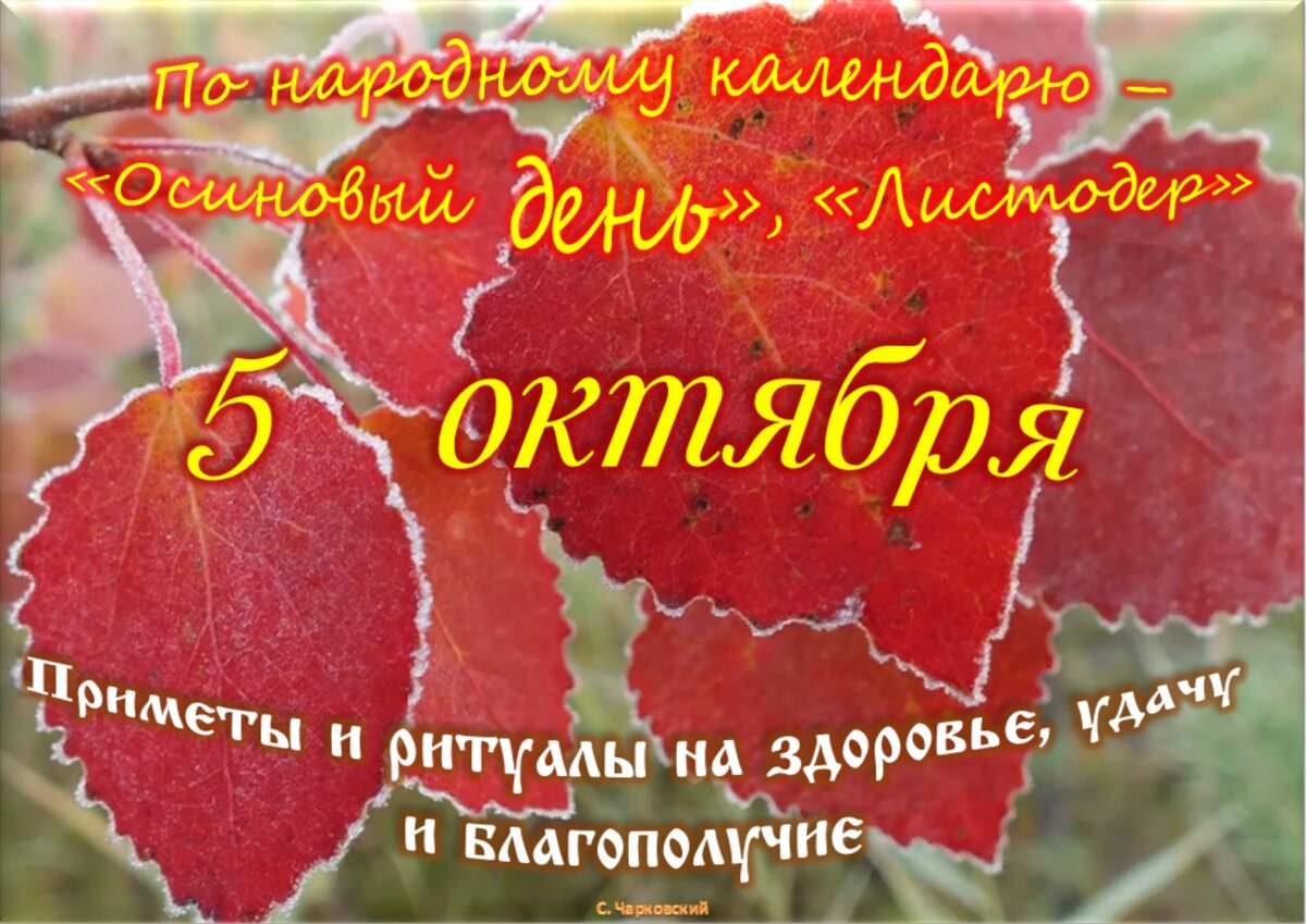 Встречаем новый день