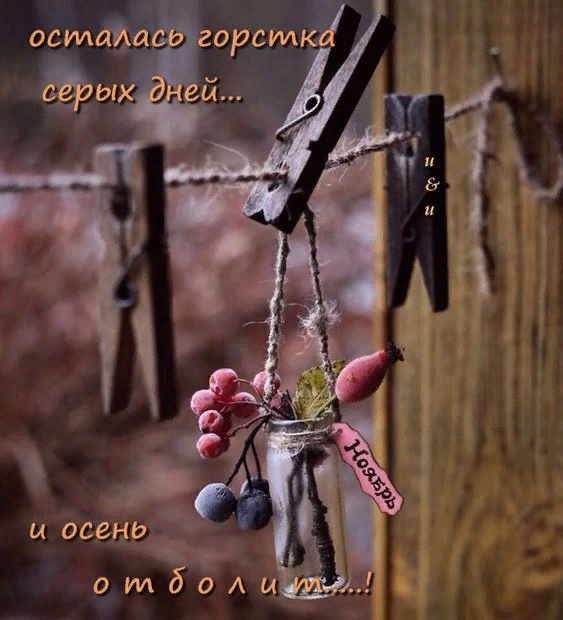 Заказ отправляется Вам без задержек. Качество и безопасность обеспечены.