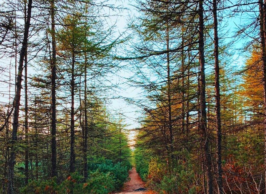 Фото принадлежит автору канала.