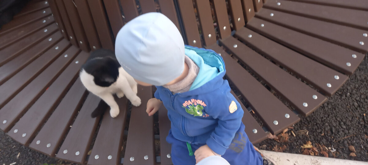 На одной из прогулок, котик очень общительный встретился)