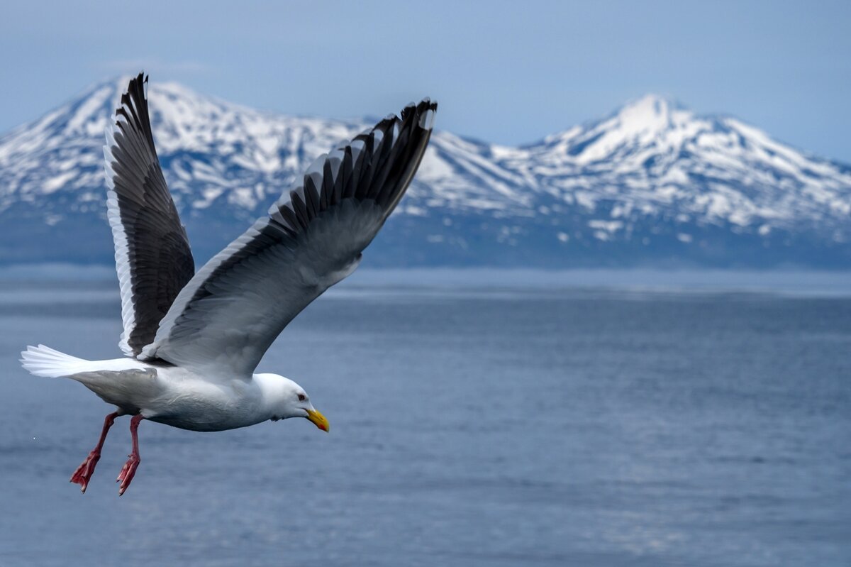 РИА Новости/ Сергей Красноухов