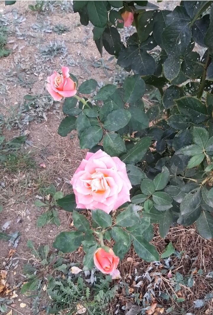 Личное осеннее фото