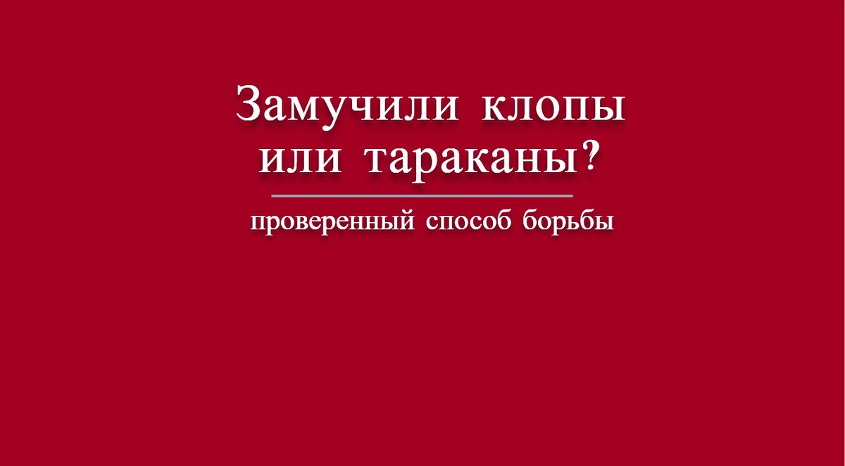 Клопы, тараканы и моль: избавься от проблем раз и навсегда! | 