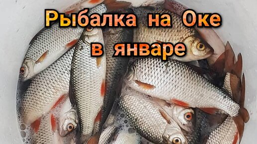 Варим классическую салапинскую кашу