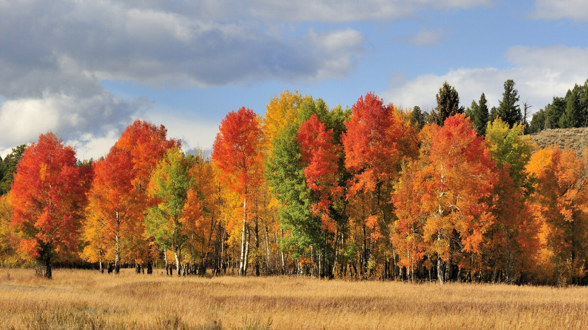 Фото из открытого источника