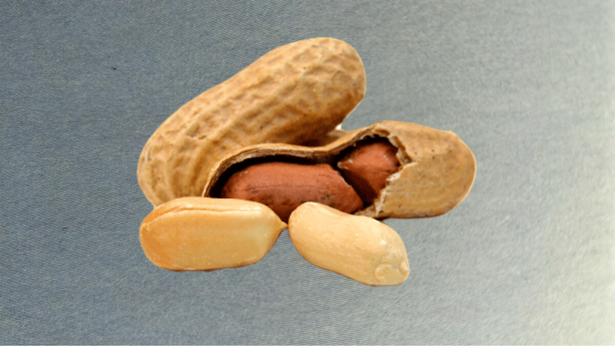 Фото автора. Захотел и сделал.