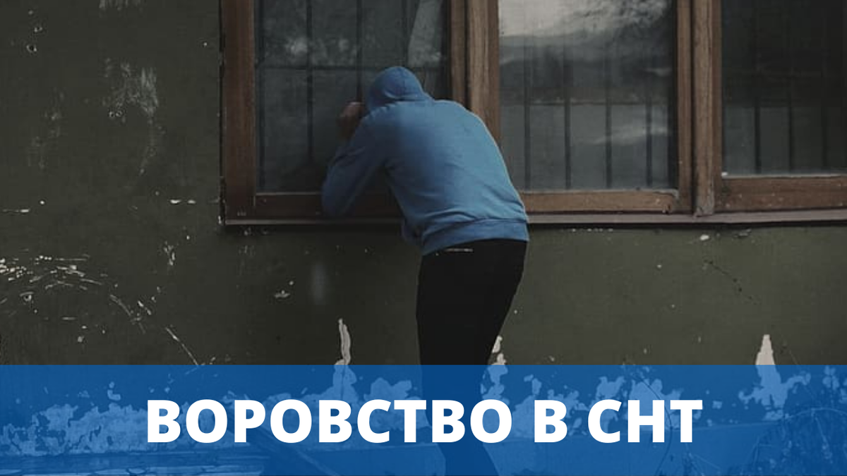 Воровство в СНТ | Объединение Садоводов России | Дзен