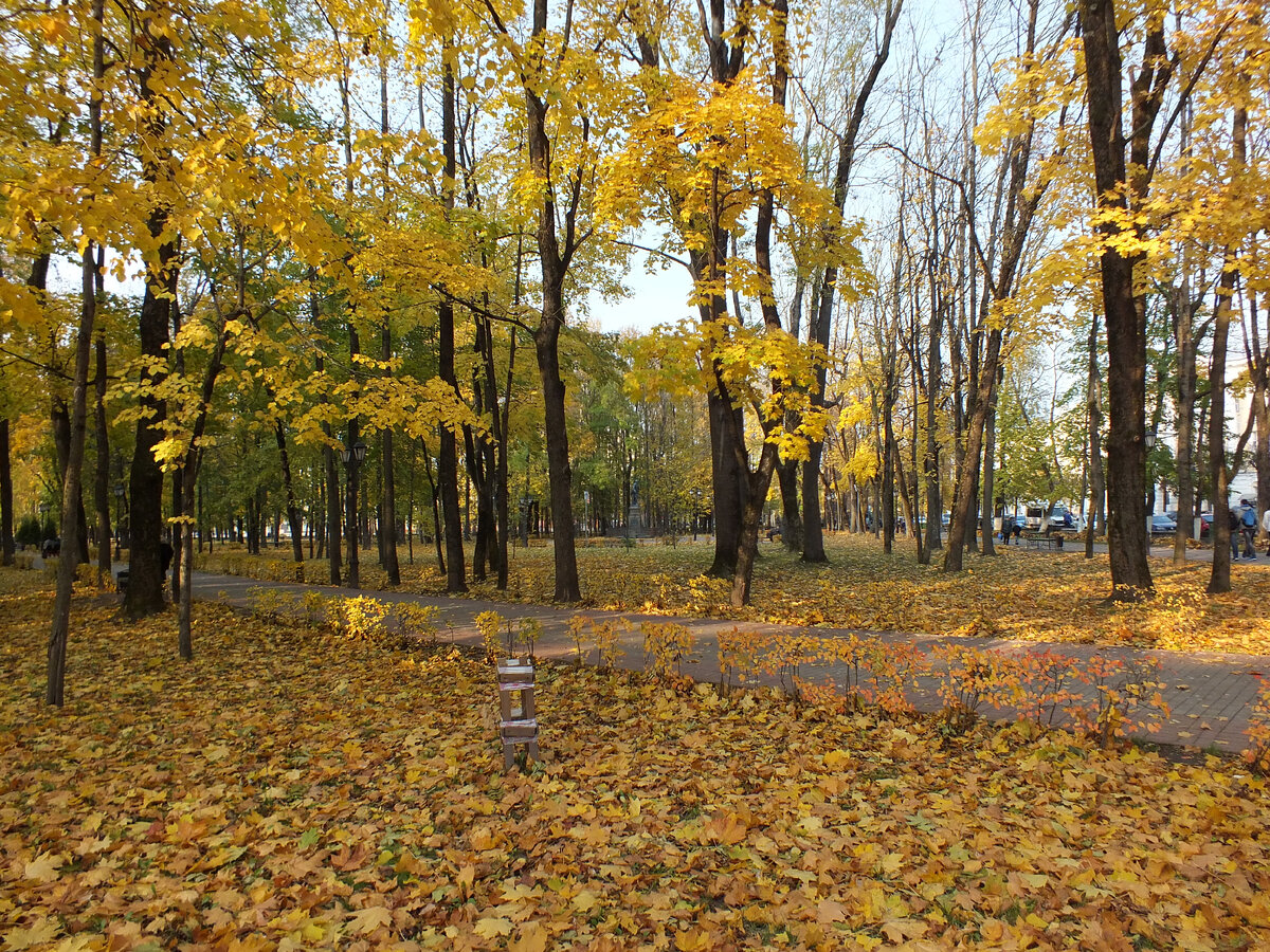 парки и сады смоленска