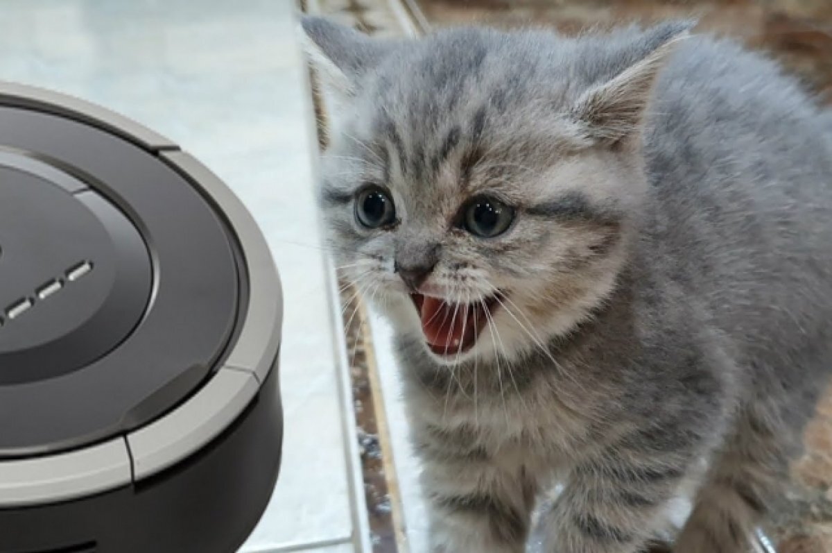    Пользователи Xiaomi в Приморье жалуются на массовые сбои в работе