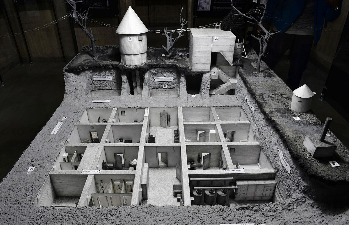 Фото взято с открытых источников